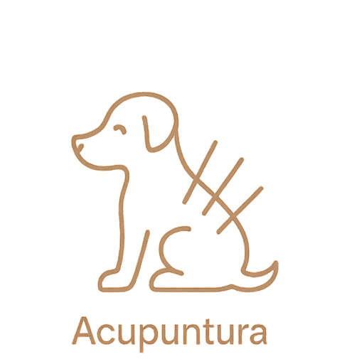 Ícone Acupuntura